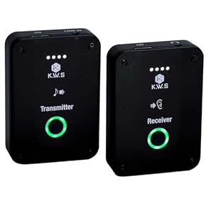 Amazon.co.jp: インナーイヤーモニター - PA音響機器: 楽器